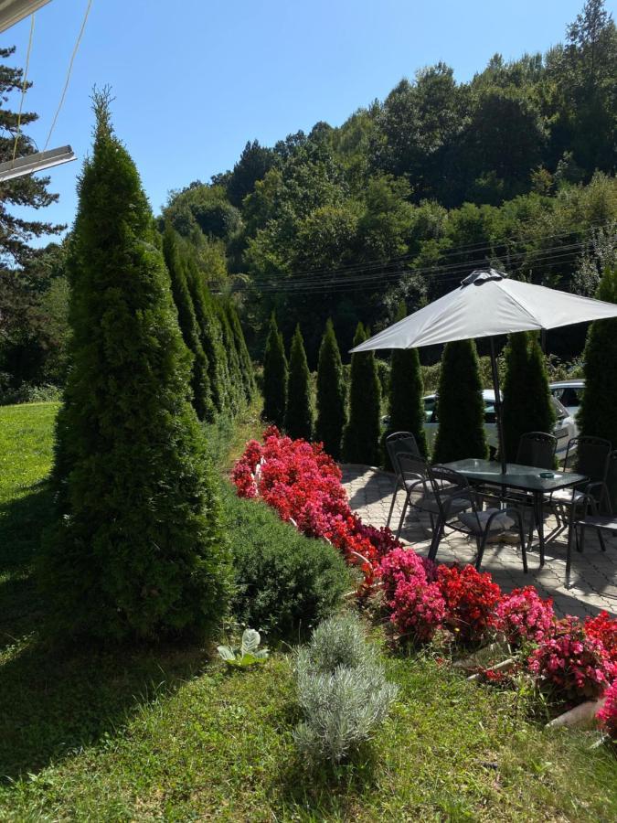 Zeleni Dvor Bed and Breakfast Ribarska Banja Εξωτερικό φωτογραφία